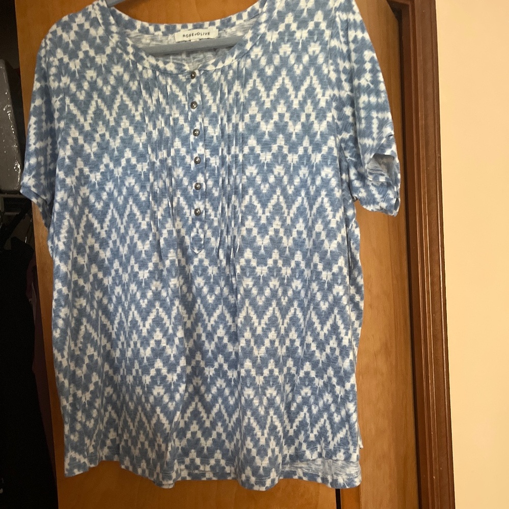 2X short sleeve blue and white top